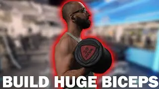 The 3 Principles To Biceps Training (How to overcome Growth Plateau)
