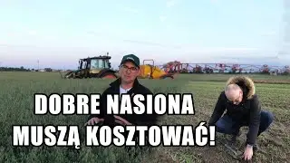 Dlaczego materiał siewny jest taki drogi? Rolnik wyjaśnia jak wygląda proces produkcji!