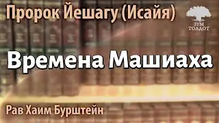 Пророк Йешагу (Исайя) о временах Машиаха. Рав Хаим Бурштейн