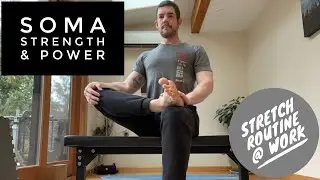 Sit/Stand Stretch Routine for Work