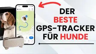 🥇 TOP 4: Best GPS trackers for dogs 2026