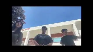 Egg Drop - Lab Report