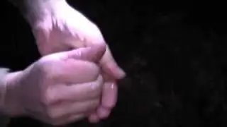 Frogs gone wild
