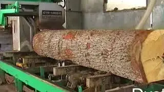 Wood Expert - Gater orizontal debitat busteni (line orizontala de debitat cherestea) -  CTR 1000 H