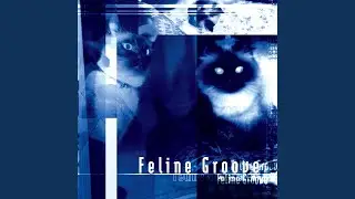 Feline...