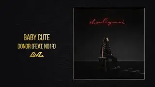 Baby Cute &mdash; donor&nbsp;(feat. N01R) (Альбом #hooligani)