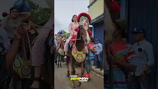 The Charm of a Beautiful Girl Riding a Renggong Bintang Lembayung Horse