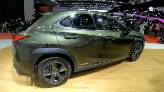 2019 Lexus UX250h &ndash; New Small Hybrid Crossover