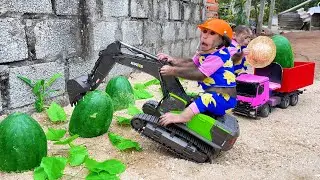 Bu Bu uses an excavator to harvest watermelon