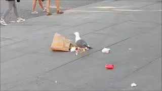 M&Aring;KE P&Aring; KARL JOHANS GATE