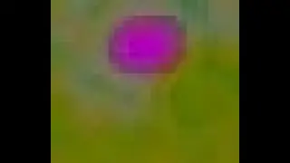 music for landing on an extragalactic PORT
