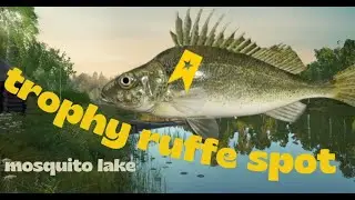 TROPHY RUFFE & HOSPOT - MOSQUITO LAKE RF4
