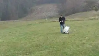 fliegende Schubkarre! die perfektion!