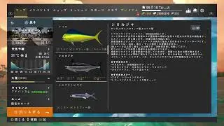 タジのゲーム配信[FP フレンド募集]