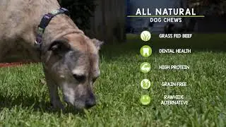 Nature Gnaws Large Bully Sticks Available on Amazon