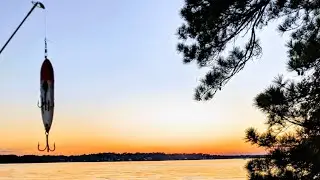 In search for big fish in Alabama's lakes. Lake Martin, Jordan, Lay, Eufaula, Mitchell #fishing