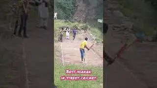 Best yorker🔥🔥 in street cricket🥎🏏 | #shorts | #streetcricket | #bestyorker
