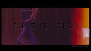 Shadow Colonies - In the Wild (Official Video)