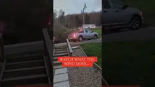 Crazy wind knocks down tree and sheers telephone pole