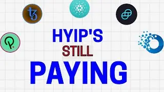 Paying Hyip  #hyip #hyip investment