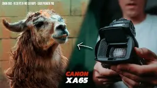 Canon XA 65 Camcorder Review