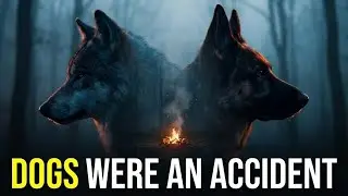 Dogs Were Never Domesticated — They Did It Themselves