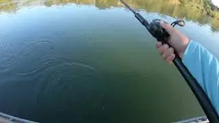 Настройка приманки для лосося (река Сакраменто) Kwikfish, BradsKillerfish, k16s k15s