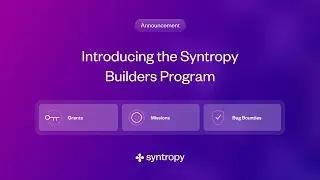 Overview of the syntropy builder project