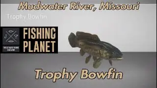 Trophy Bowfin Mudwater River Missouri Fishing Planet Guide