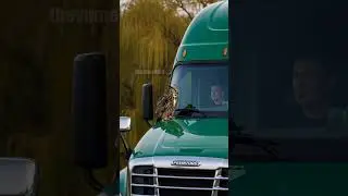 Guardian Animals Warning Saves Truck From Disaster! #rescue #animals #pets