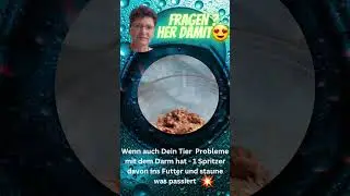 #Blockaden l&ouml;sen mit #Chi-Energie 💥  f&uuml;r #Mensch & #Tier 💞