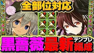 【編成難易度低下】木星チャレンジを全部位破壊14分攻略！ロゼッタ×無効貫通型が最強でした！【パズドラ】