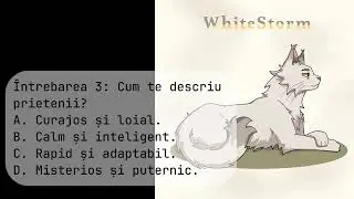 Pisici Războinice   Test de Personalitate
