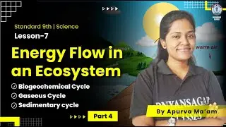Class 9th Energy Flow in an Ecosystem P-4 | Biogeochemical Cycle, Gaseous Cycle & Sedimentary cycle