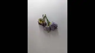 chinese water clock