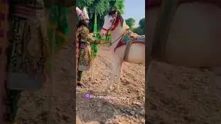 Jay_ramadhani_999 new song #ramadhan2025 #rampir #naynathakor #whatsapp #shortvideo #viral #status