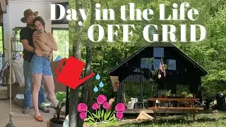 Day in the Life Off Grid | Adding Landscaping to our Off Gird Cabin!