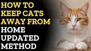 How to keep cats away Updated Method 2024 || Effective Strategies and Humane Solutions