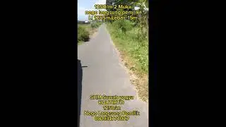 SHM Sawah yogyaKALITIRTO Berbah Sleman L.1255m Lebar: 15m2 Muka Nego Langsung Pemilik 081931774027