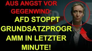 Aus Angst vor Gegenwind: AfD stoppt Grundsatzprogramm in letzter Minute!