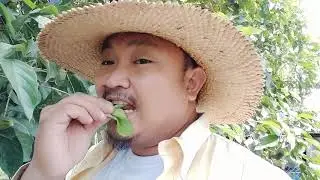 Alagaw Part 1