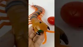 Remote Control RC Centipede Unboxing & Review ASMR Video!