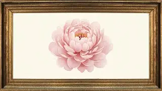 Elegant Floral Wall Art Loop | 2 Hours of Pink Peony Ambience for Relaxation