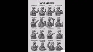 Military hands signals #shorts #shortviral #amazingfacts #top #military