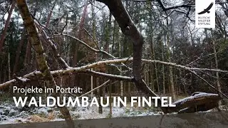Projekte im Porträt: Waldumbau in Fintel