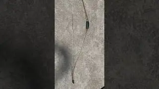 My Favourite Bow The AF Archery Assyrian