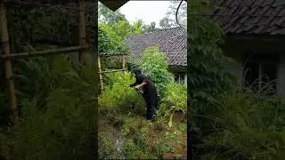 mudik lebaran ke Bungbulang, Garut Selatan #garut #bungbulang #mudik #senang #bahagia #indonesia
