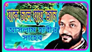 Jak Chole Jai jaan। Aslam Habib Saheb। যাক চলে যায় জান। আসলাম হাবীব সাহেব