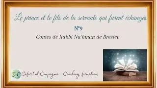 🌿 Conte de Rabbi Na'hman : Le prince et le fils de la servante qui furent &eacute;chang&eacute;s N&deg;9