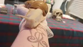 Atlas fan cam [Achatina Fulica Jadatzi]